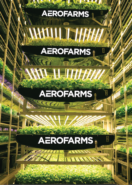 Vertical, Indoor Grower AeroFarms Expands All The Ways | The Packer